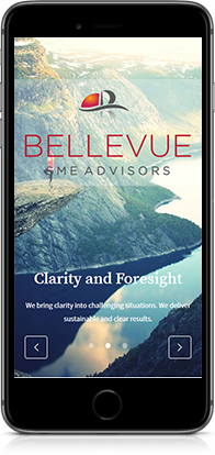 Bellevue SME advisors