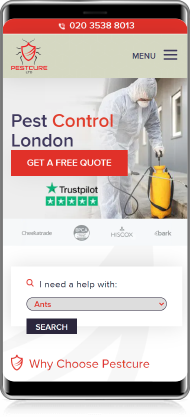 Pestcure
